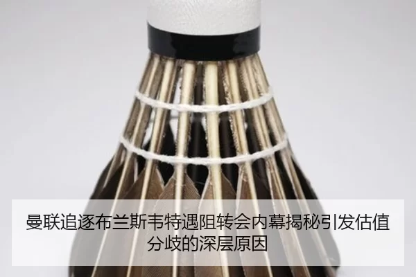 曼联追逐布兰斯韦特遇阻转会内幕揭秘引发估值分歧的深层原因